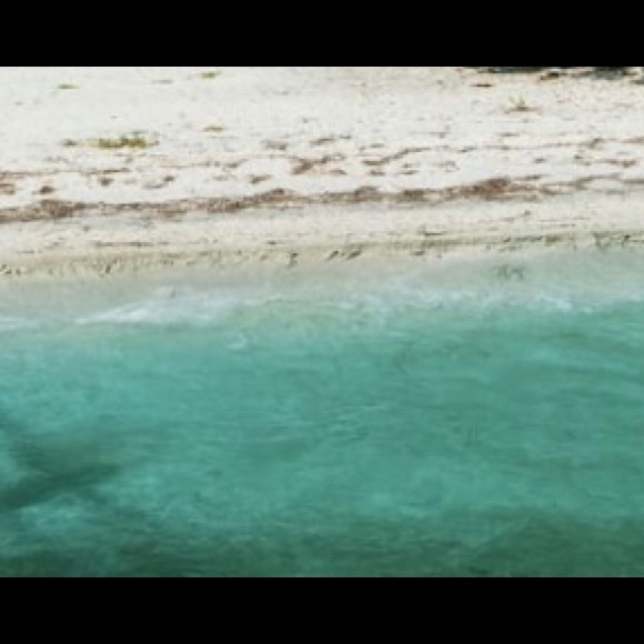 Meet your Posher, Nicole - Picture 1 of 1